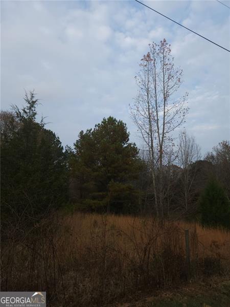 0 Mulberry Road Winder, GA 30680 - Photo 1 of 1 Gallery Image 1