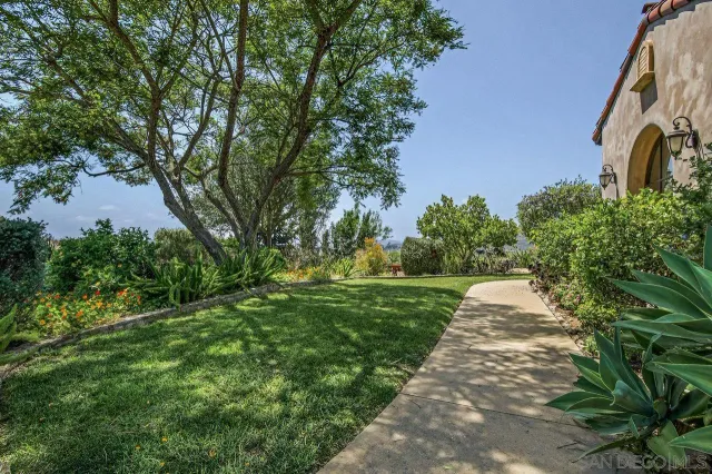 a view of a yard with plants and a large tree