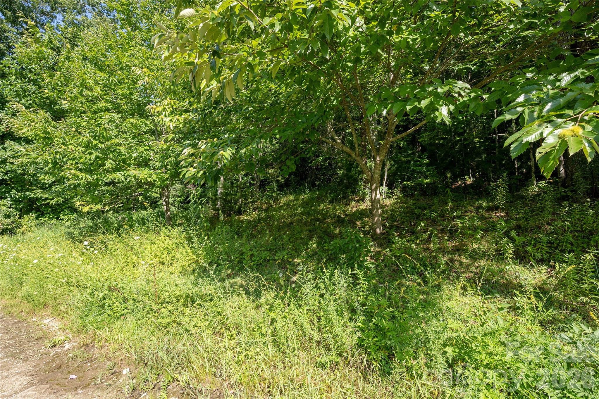 Tbd Whitewater Road Sapphire, NC 28774 - Photo 12 of 12 Gallery Image 12