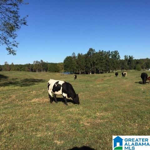 1785 Nunnally Lake Road Ohatchee, AL 36271 - Photo 21 of 50