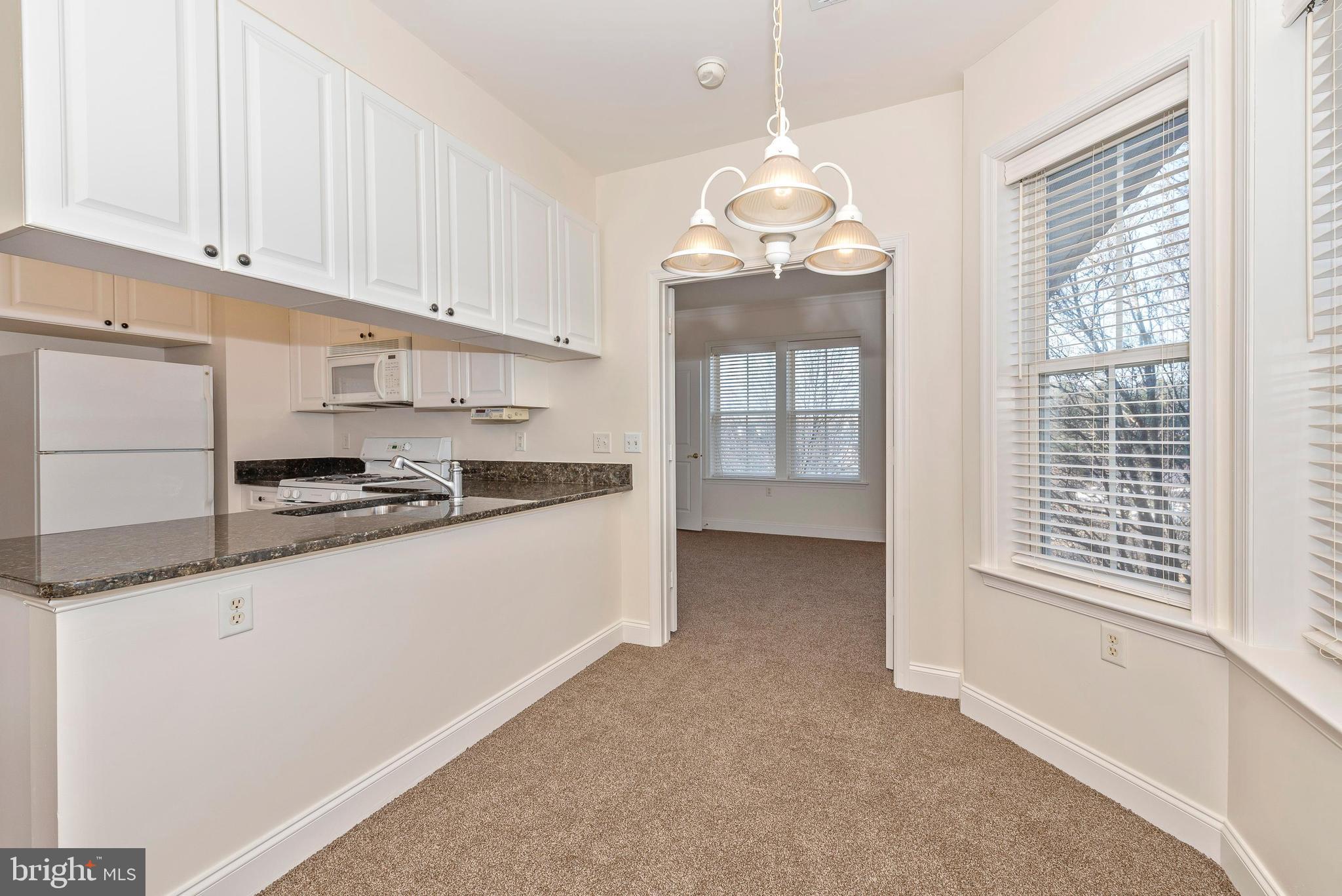 2500 Waterside Drive, Unit 315 Frederick, MD 21701 - Photo 16 of 42 Breakfast room with tons of natural light.