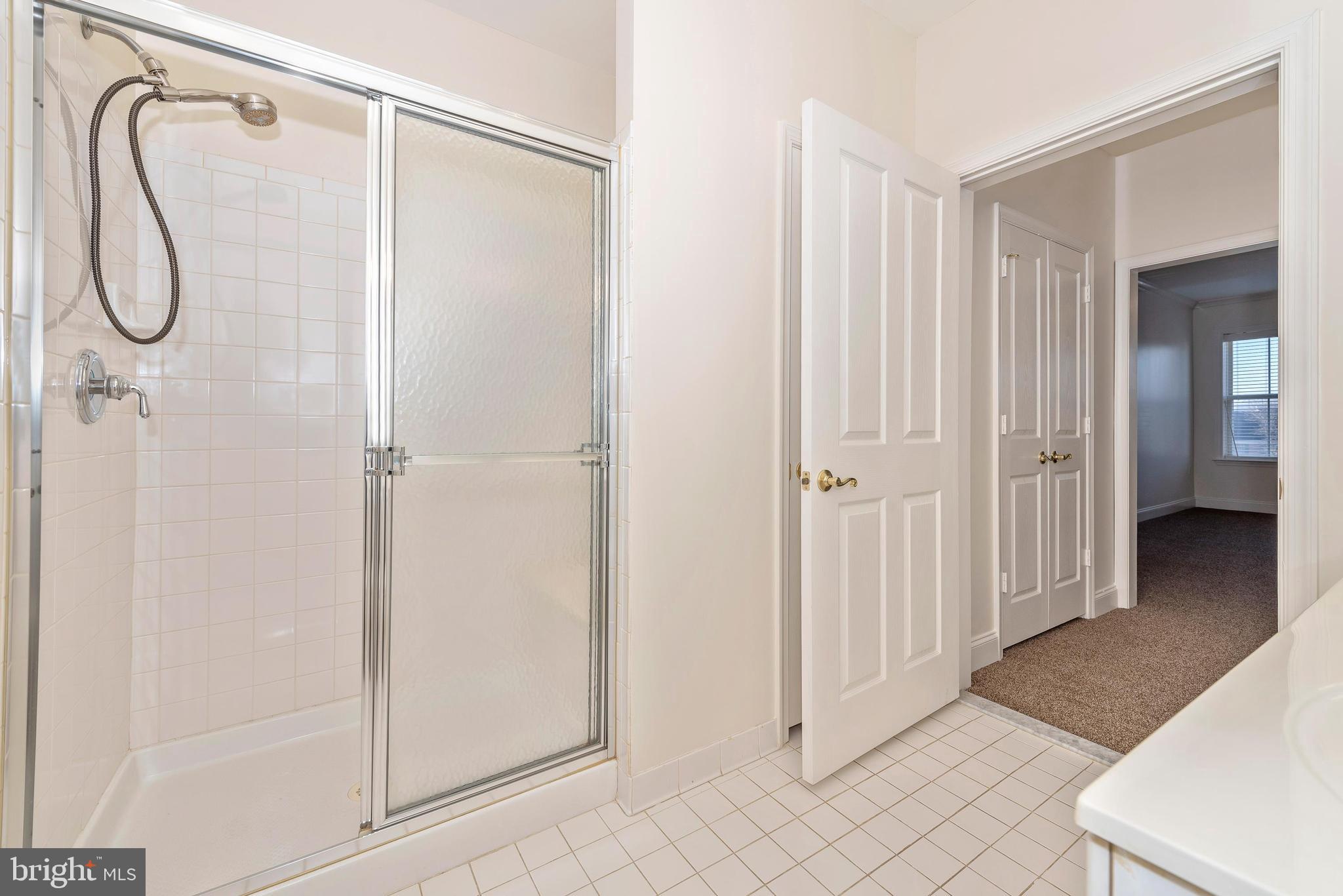 2500 Waterside Drive, Unit 315 Frederick, MD 21701 - Photo 22 of 42 Master bathroom stand shower.