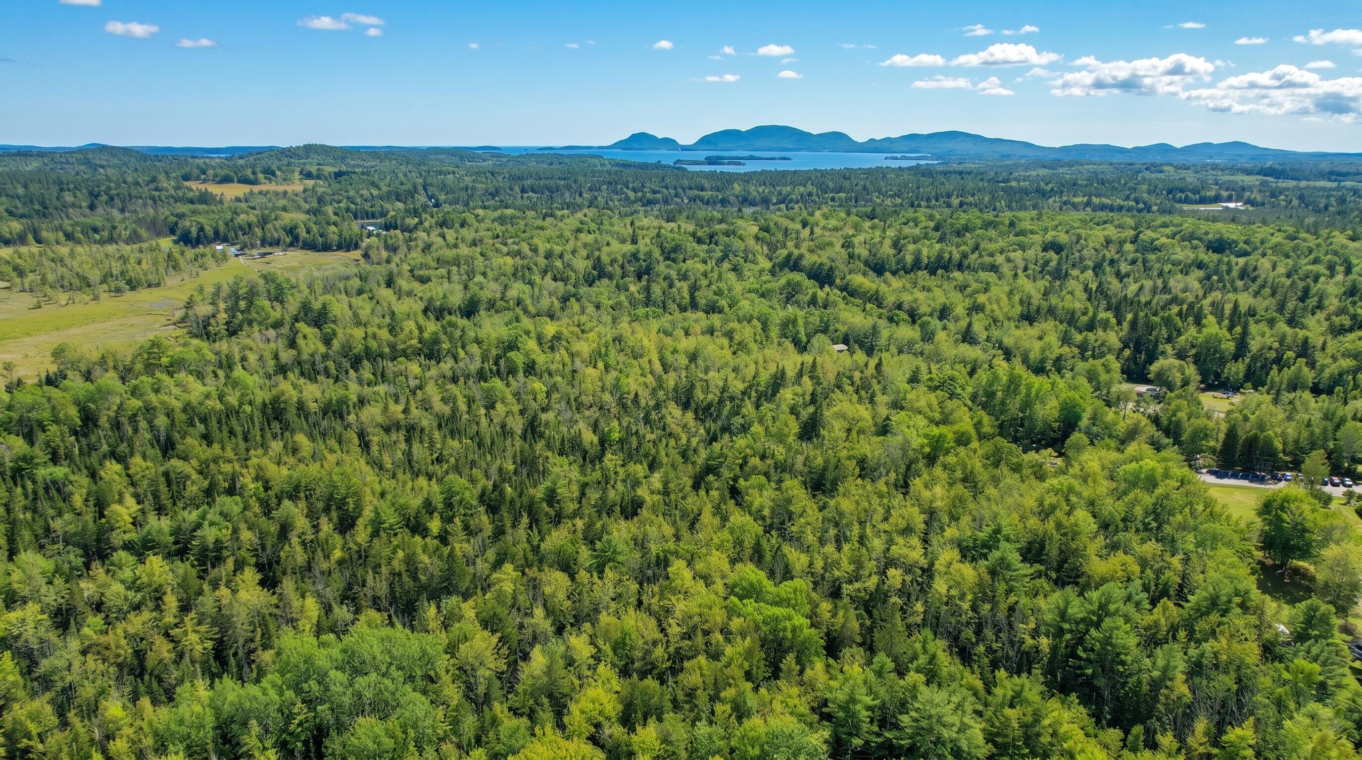 535 Bert Gray Road Sullivan, ME 04664 - Photo 6 of 15