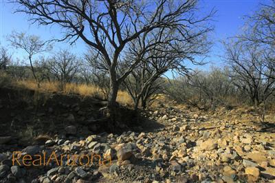 0 Salero Canyon Road Tubac, AZ 85646 - Photo 6 of 7 Gallery Image 6