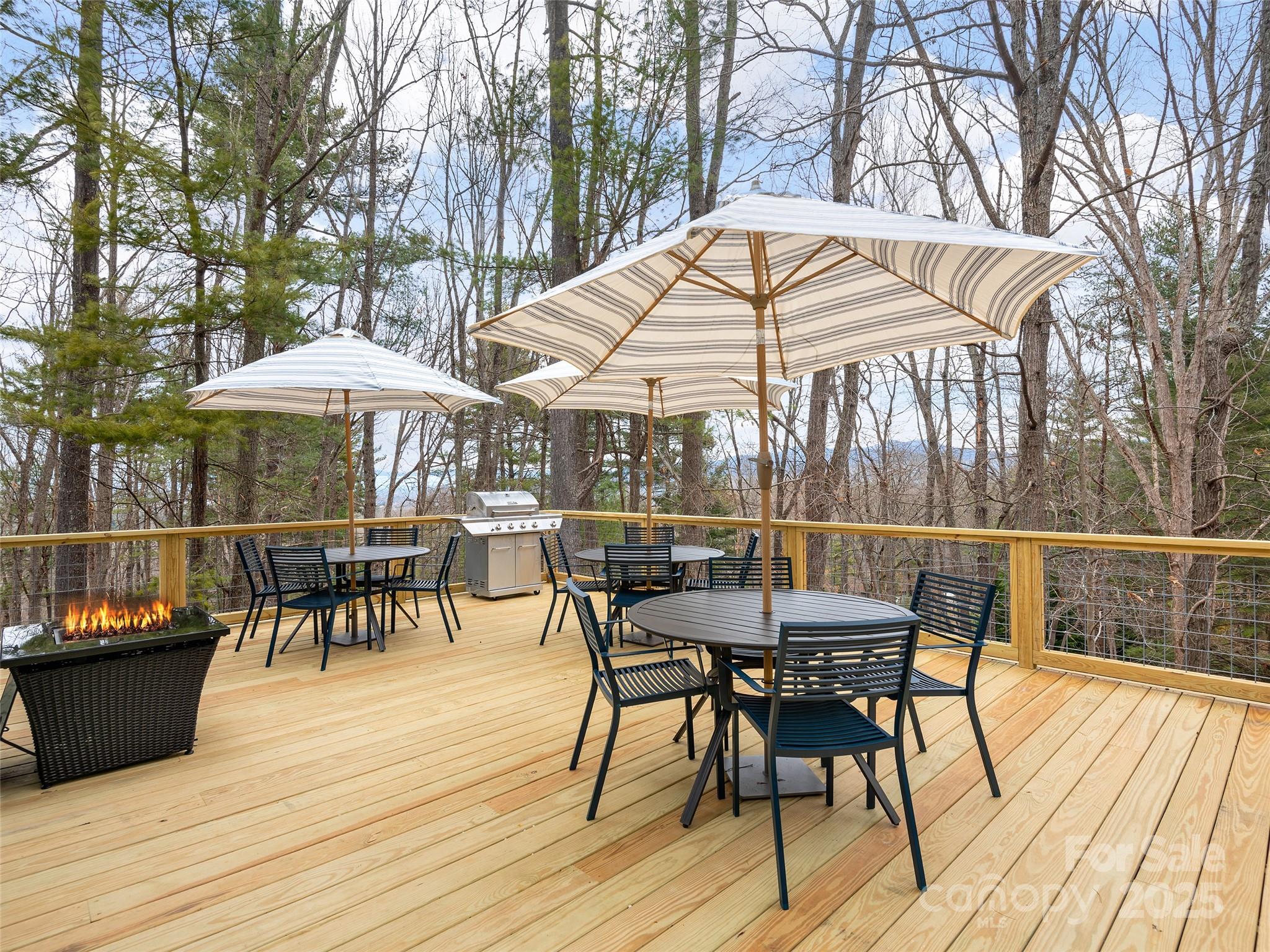 46 Wilderness Road Asheville, NC 28804 - Photo 11 of 42 Gallery Image 11