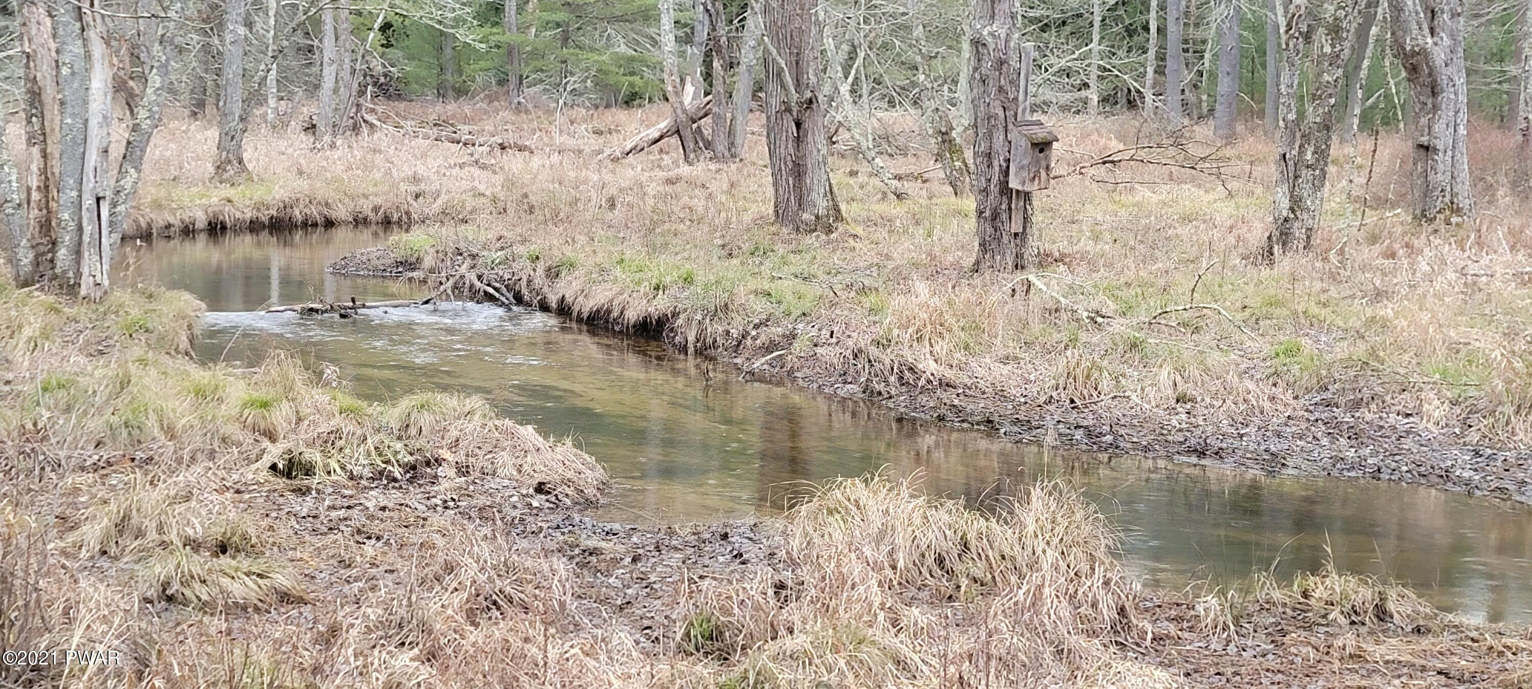 Lot 43 Swamp Pond Road Narrowsburg, NY 12764 - Photo 5 of 13