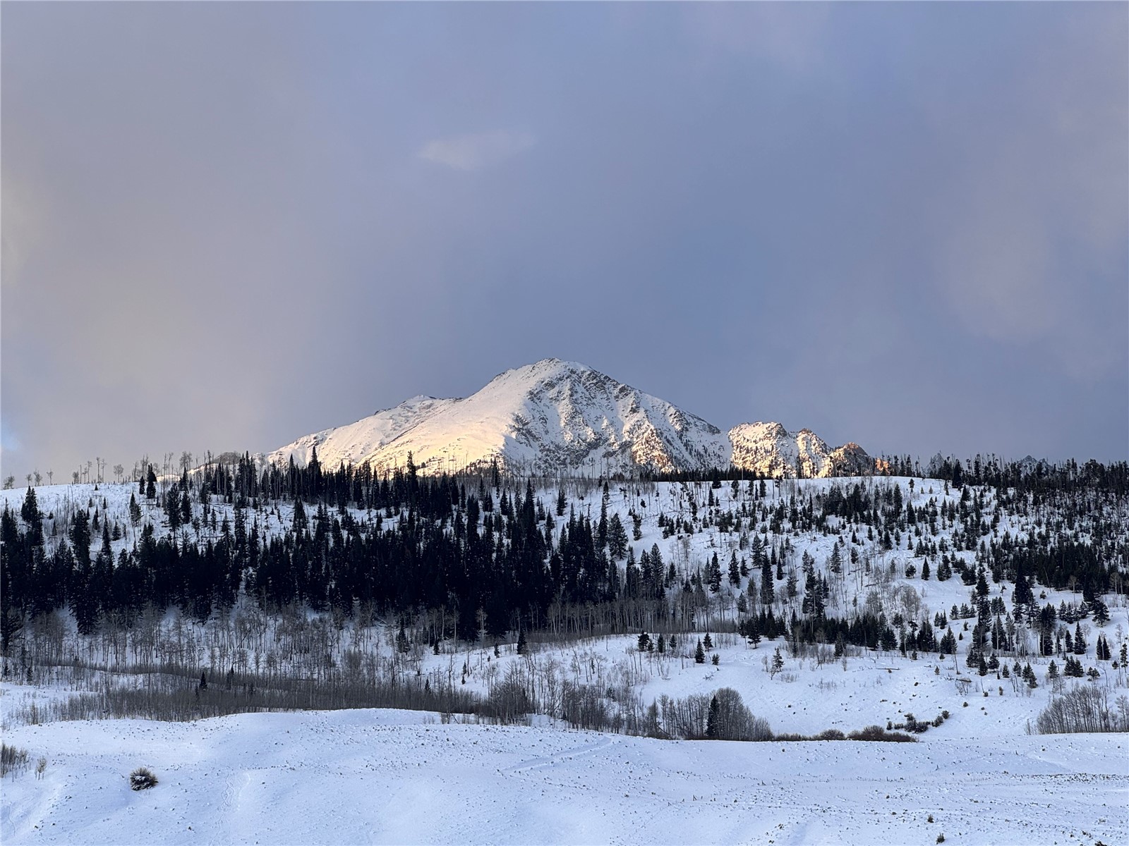 377 Elk Run Road Silverthorne, CO 80498 - Photo 49 of 50