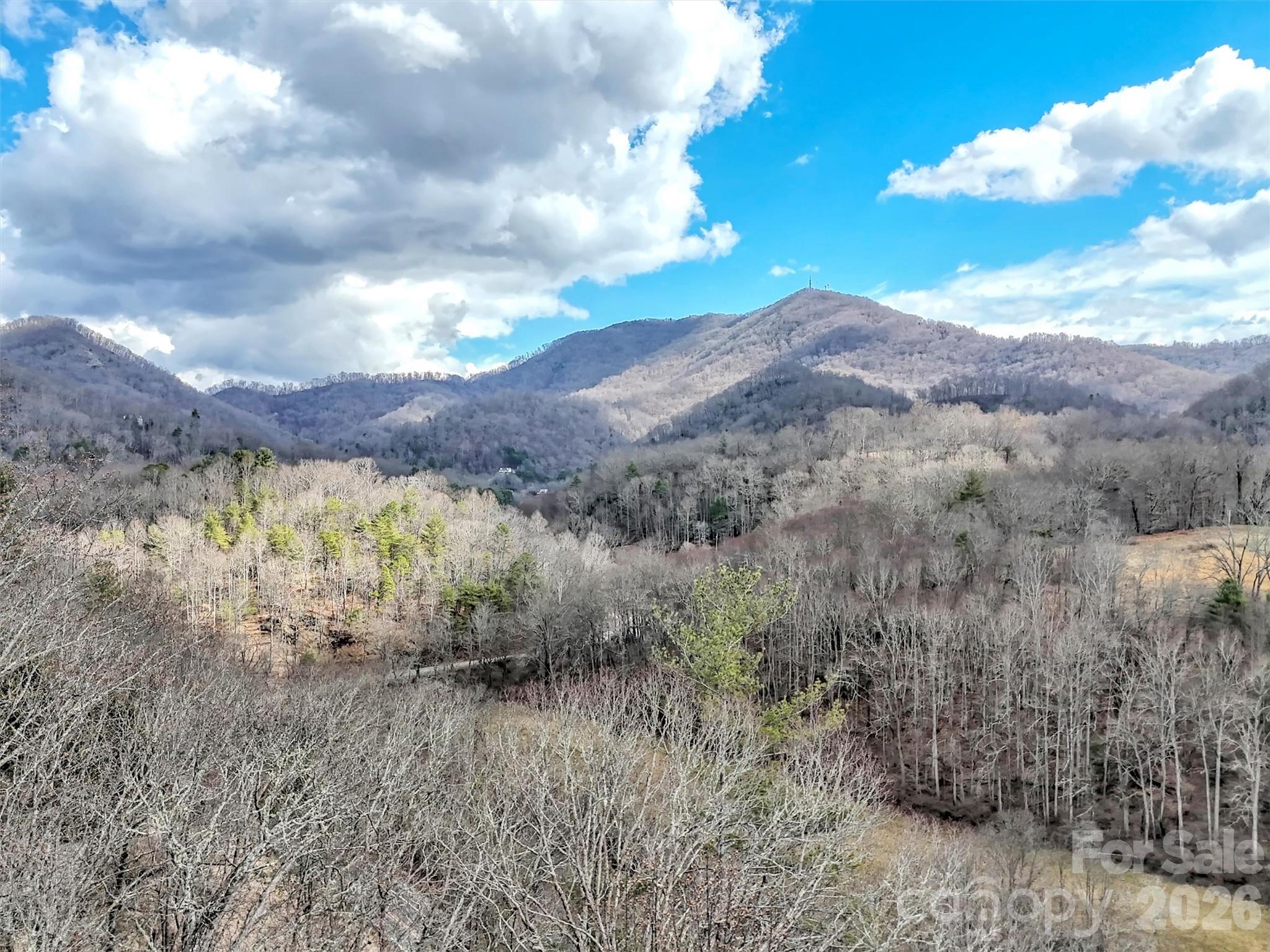 109 Paradise Circle Clyde, NC 28721 - Photo 47 of 48