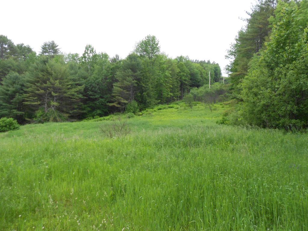 45 Bullock Road West Norwich, VT 05055 - Photo 3 of 8