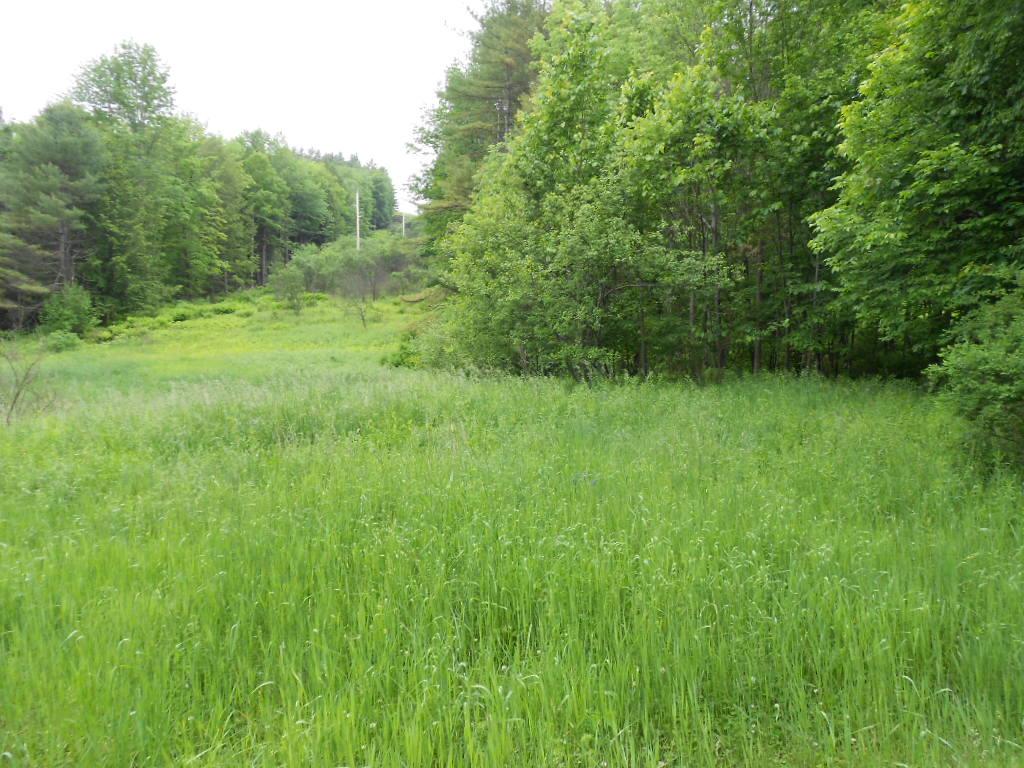 45 Bullock Road West Norwich, VT 05055 - Photo 5 of 8