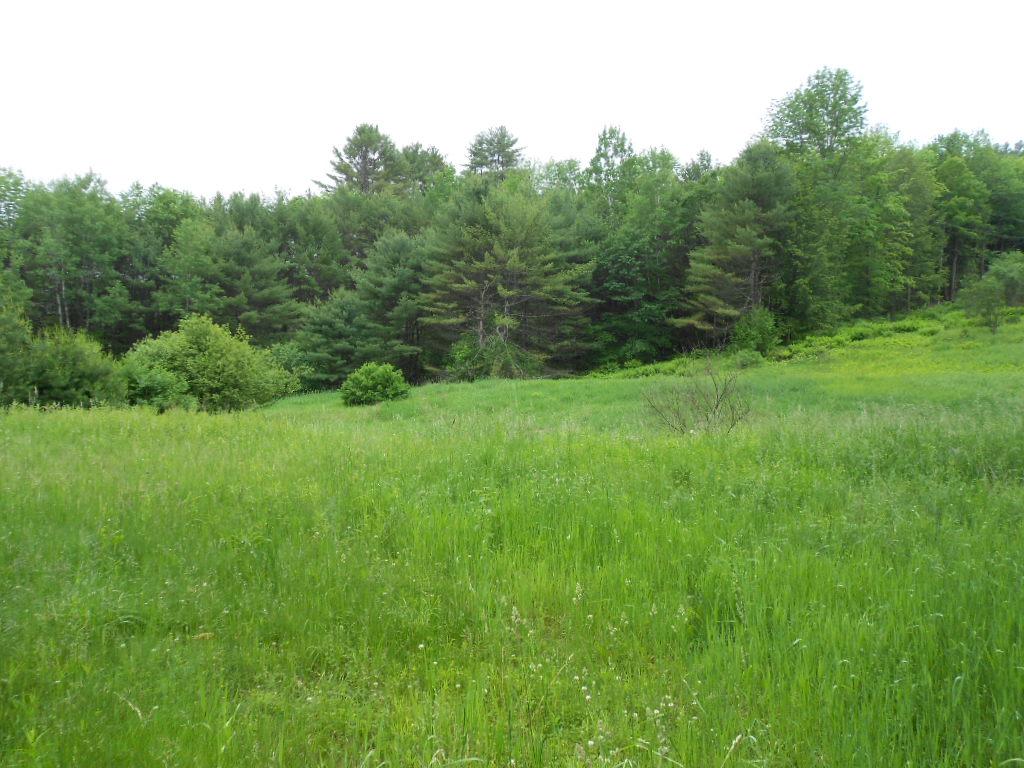 45 Bullock Road West Norwich, VT 05055 - Photo 6 of 8