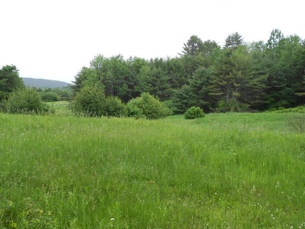 45 Bullock Road West Norwich, VT 05055 - Photo 7 of 8