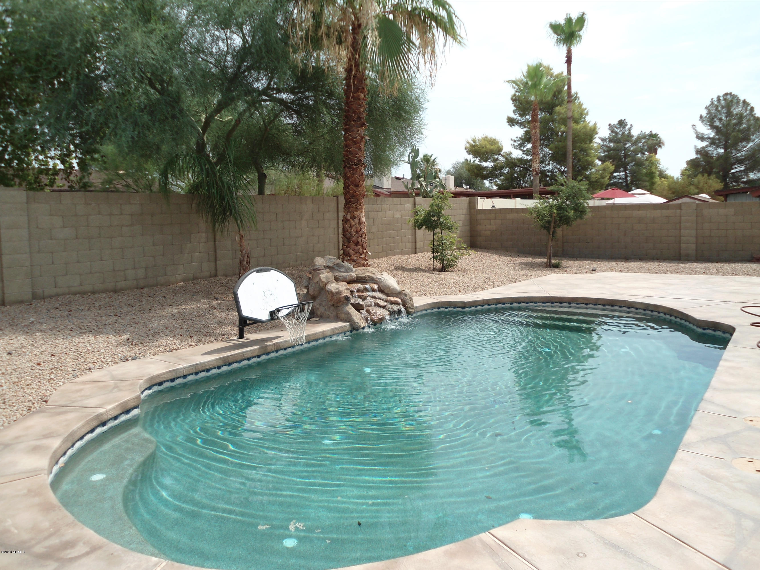 126 West Wagoner Road Phoenix, AZ 85023 - Photo 6 of 13 DSC01400