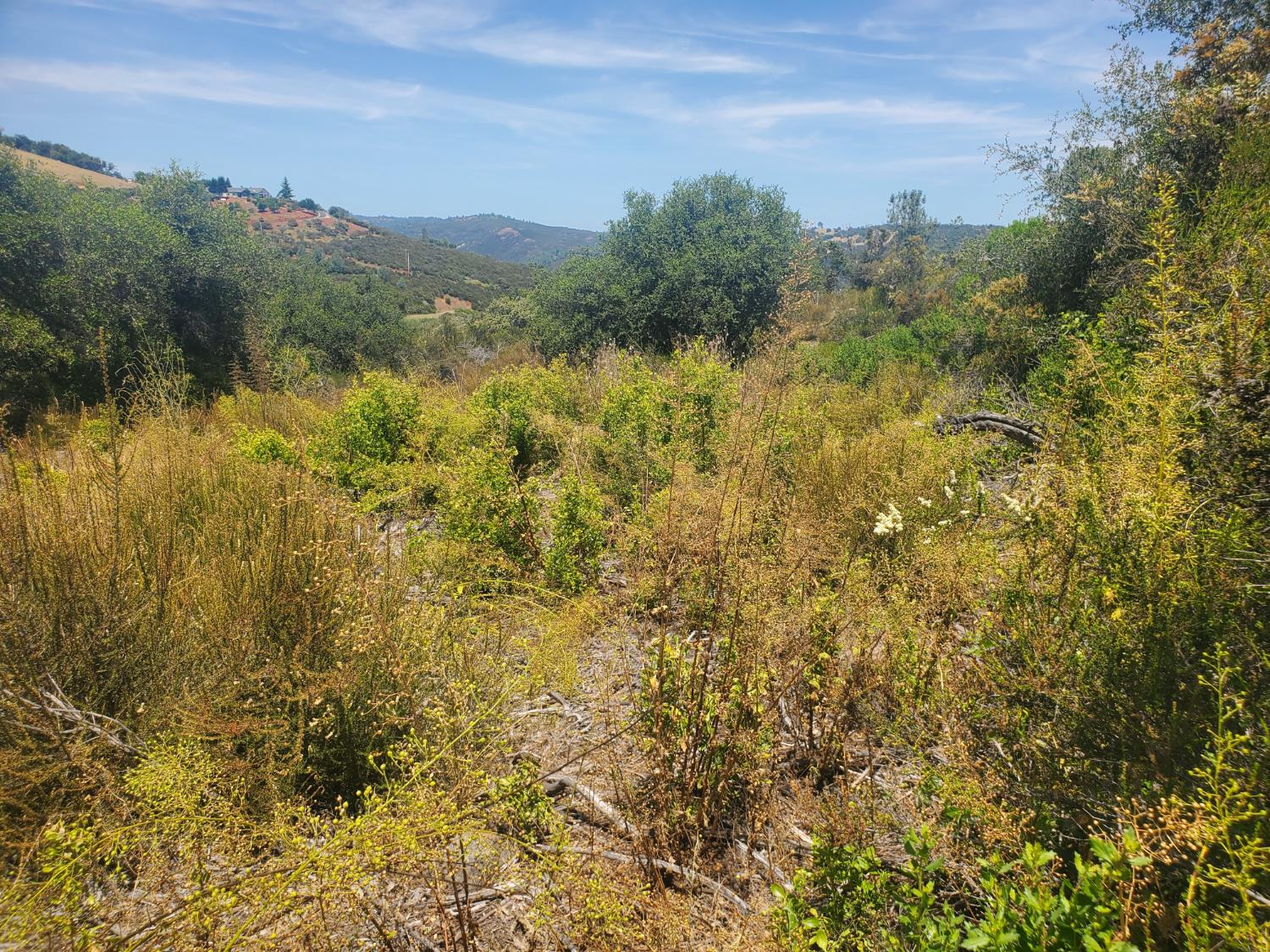 1190 Jurgens Road Rescue, CA 95672 - Photo 10 of 29 a view of a lake with a mountain in the background