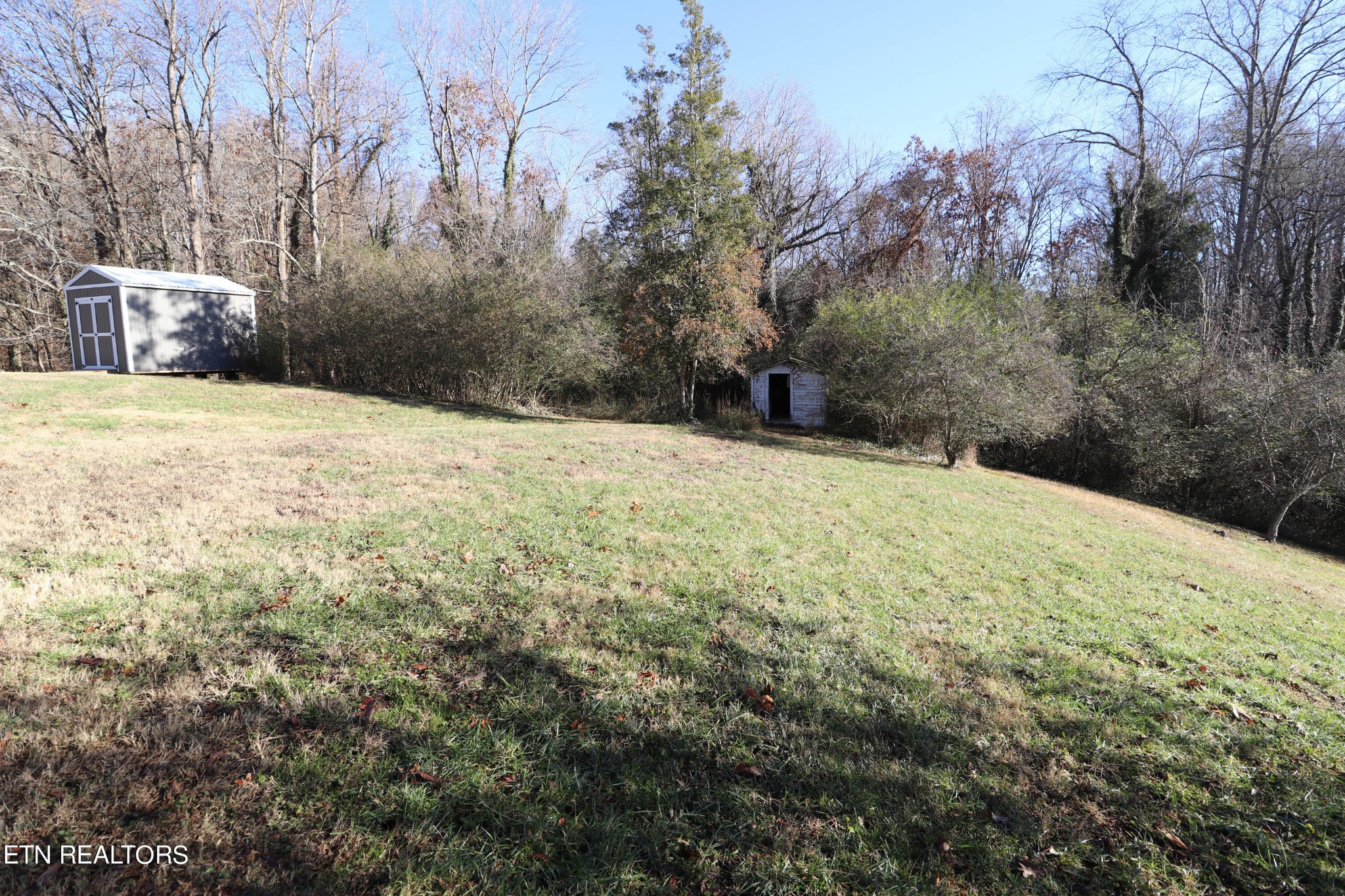 706 Florida Avenue Oak Ridge, TN 37830 - Photo 6 of 24