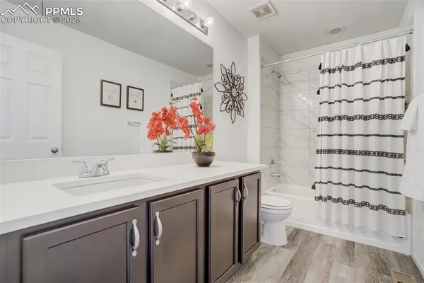 a bathroom with a sink a toilet and shower curtain