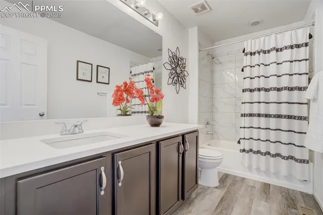 a bathroom with a sink a toilet and shower curtain