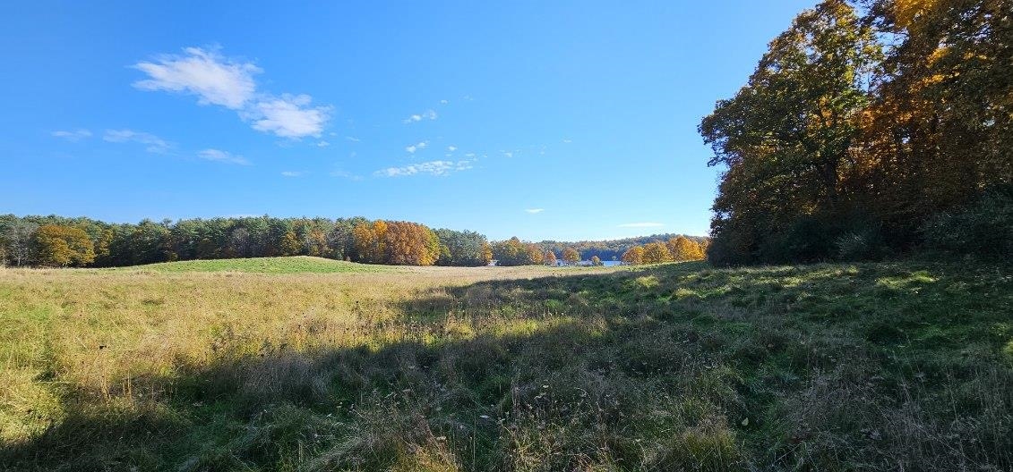 361 Durham Point Road Durham, NH 03824 - Photo 11 of 33
