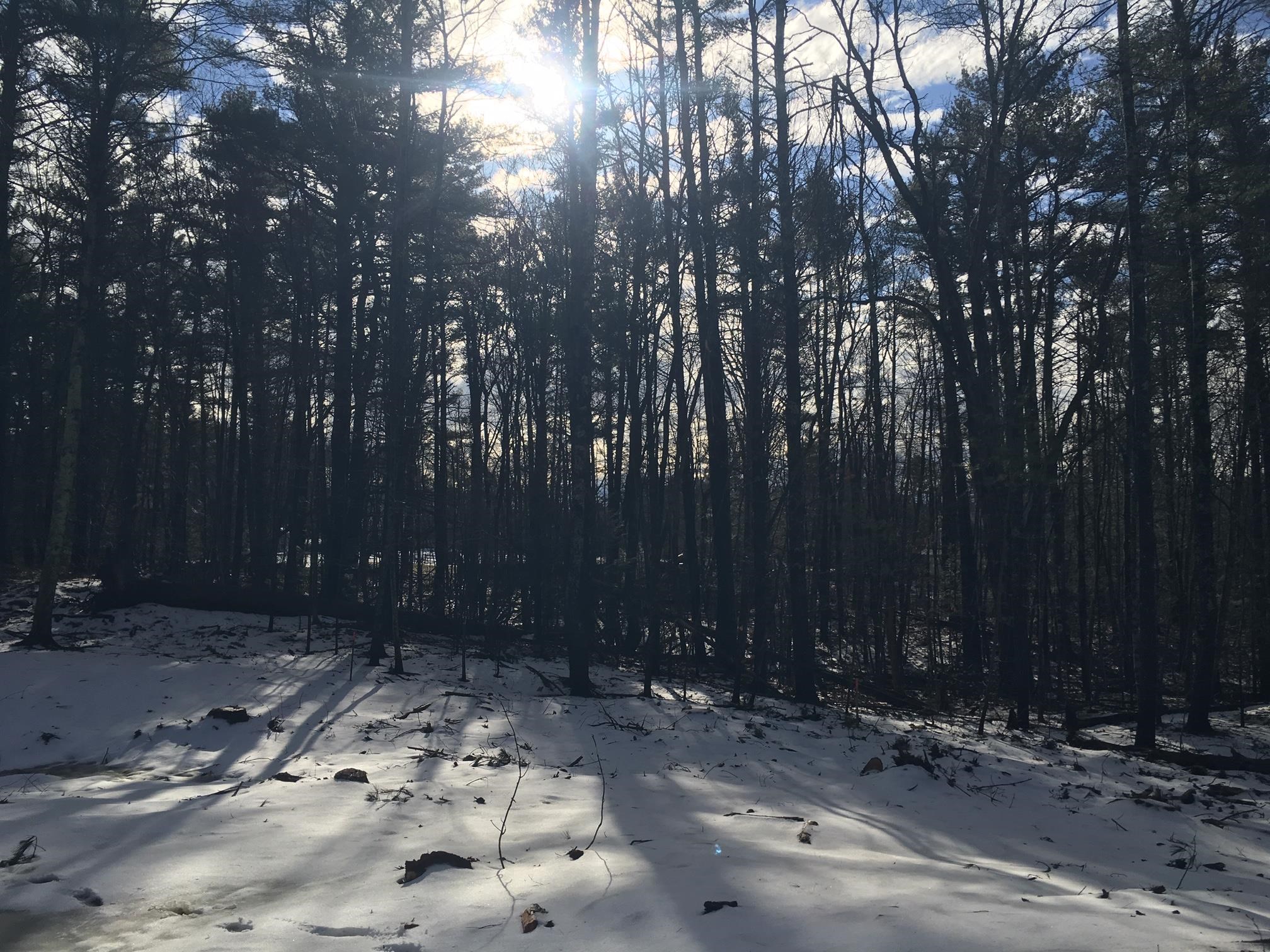 361 Durham Point Road Durham, NH 03824 - Photo 26 of 33