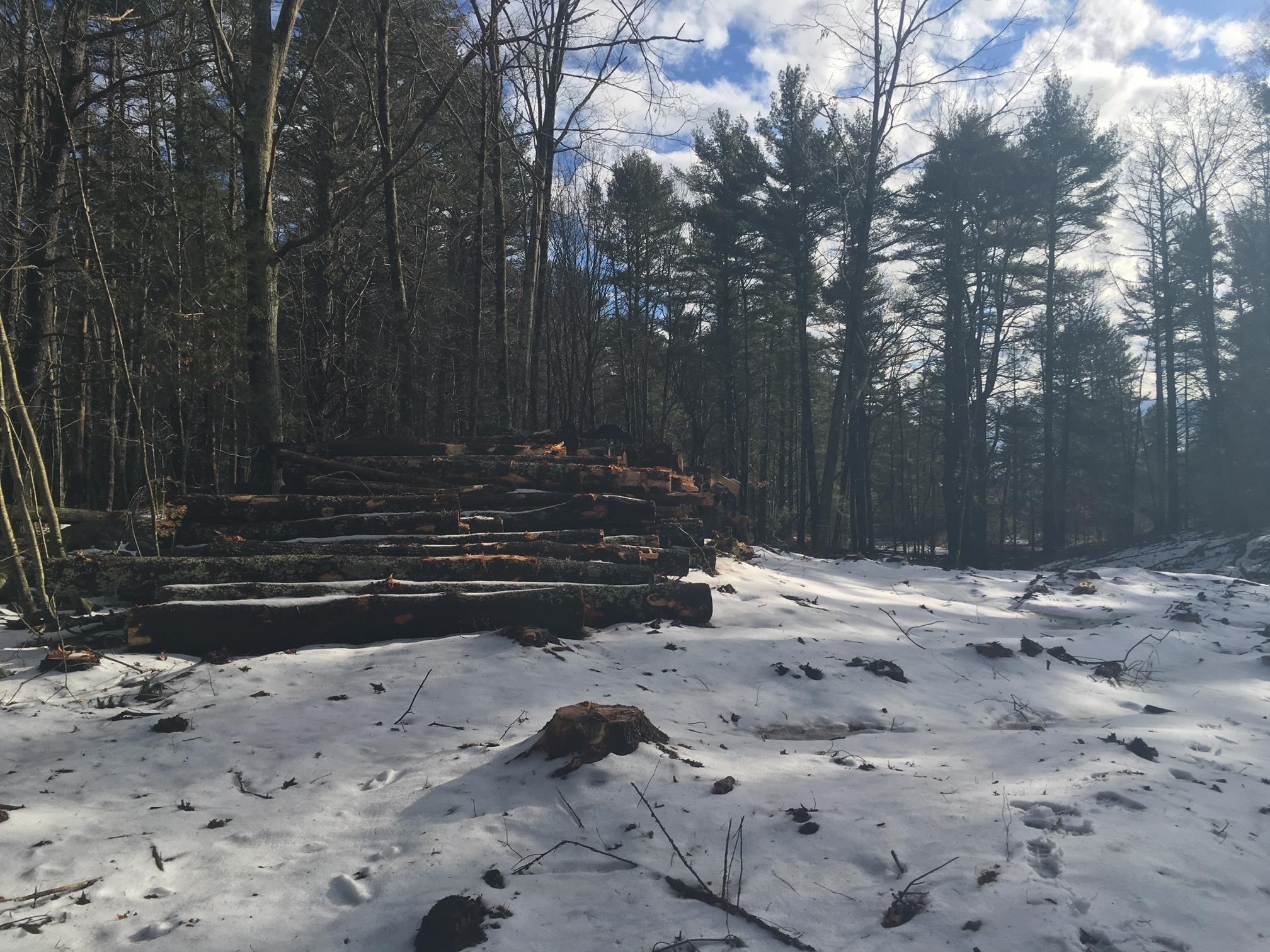 361 Durham Point Road Durham, NH 03824 - Photo 29 of 33