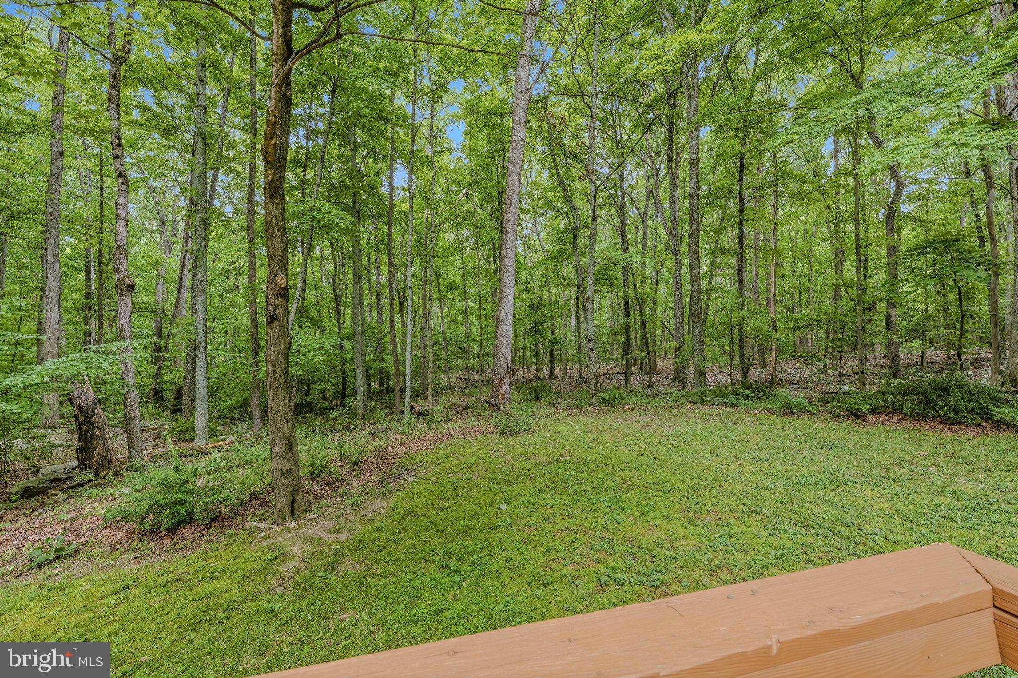221 Mountainside Road Berkeley Springs, WV 25411 - Photo 22 of 53 Deck View