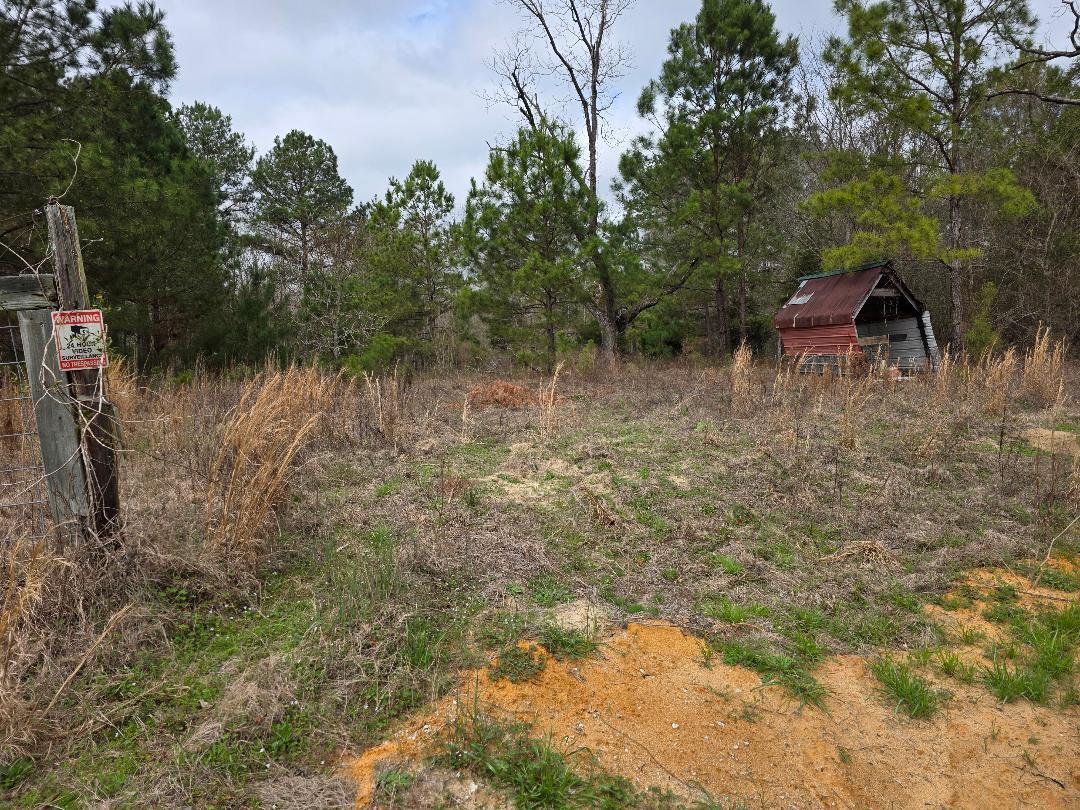1880 Alexander- Munnerlyn Road Waynesboro, GA 30830 - Photo 2 of 4 thumbnail (1) 4