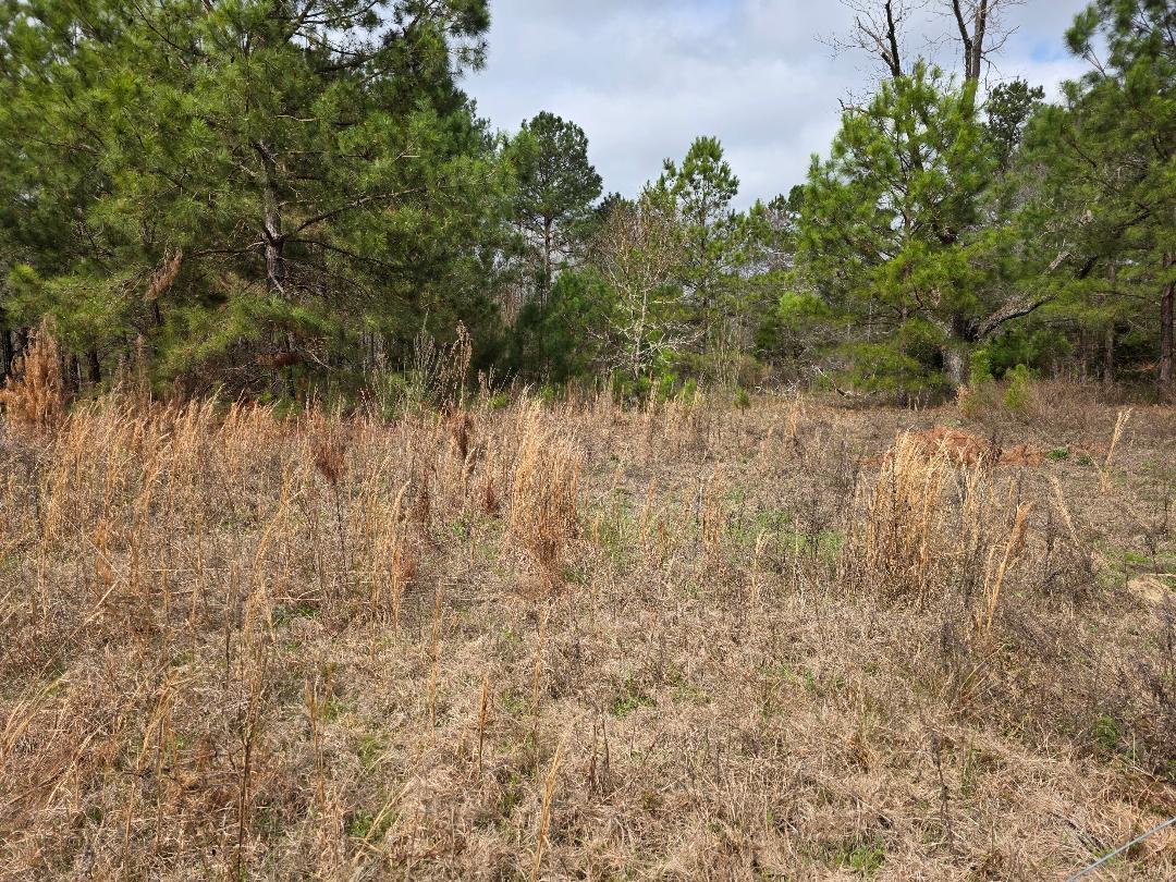 1880 Alexander- Munnerlyn Road Waynesboro, GA 30830 - Photo 4 of 4 thumbnail