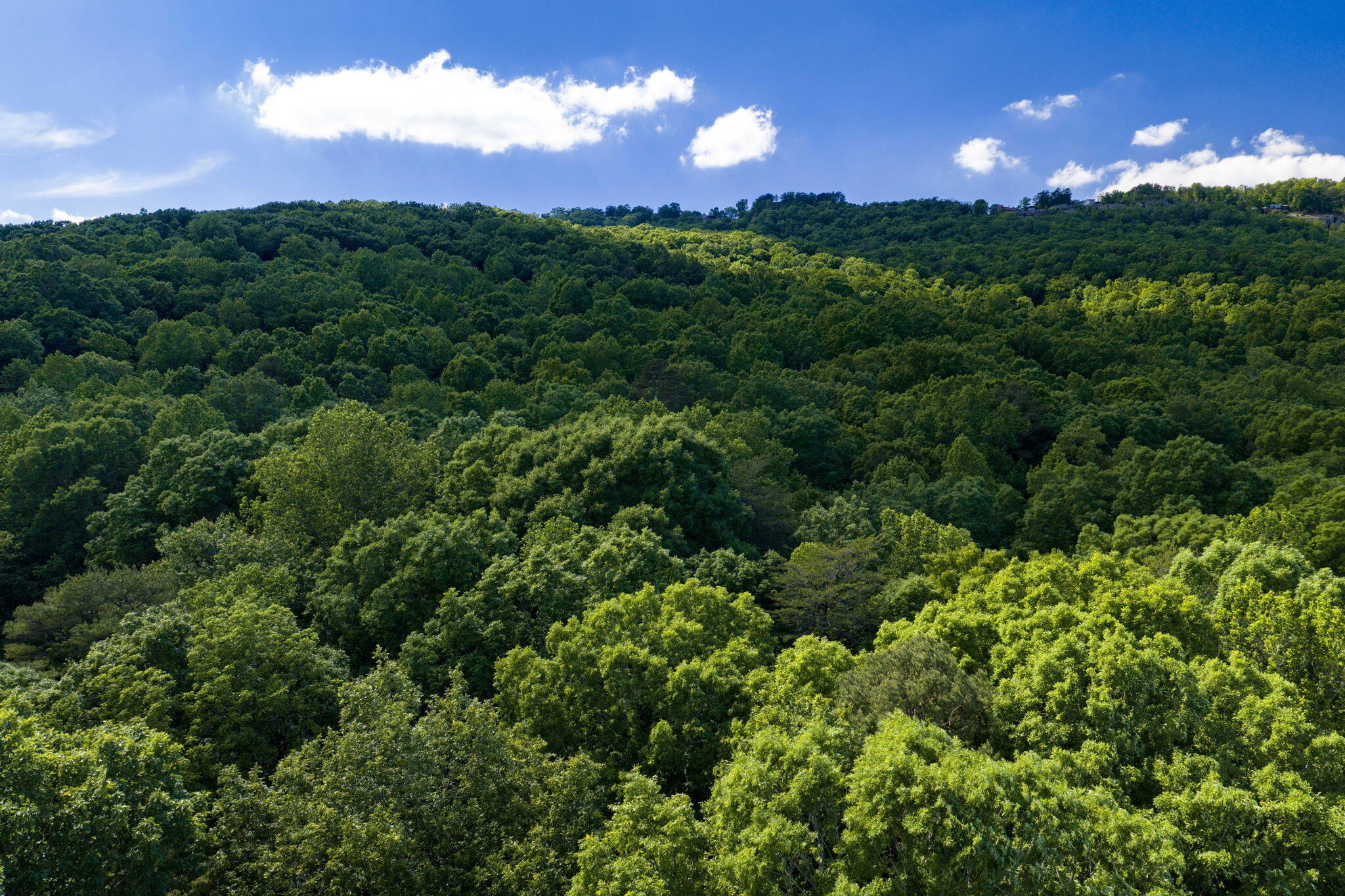 0 Mt Airy Road Dunlap, TN 37327 - Photo 11 of 12 10-web-or-mls-DJI_20260507161929_0345_D-