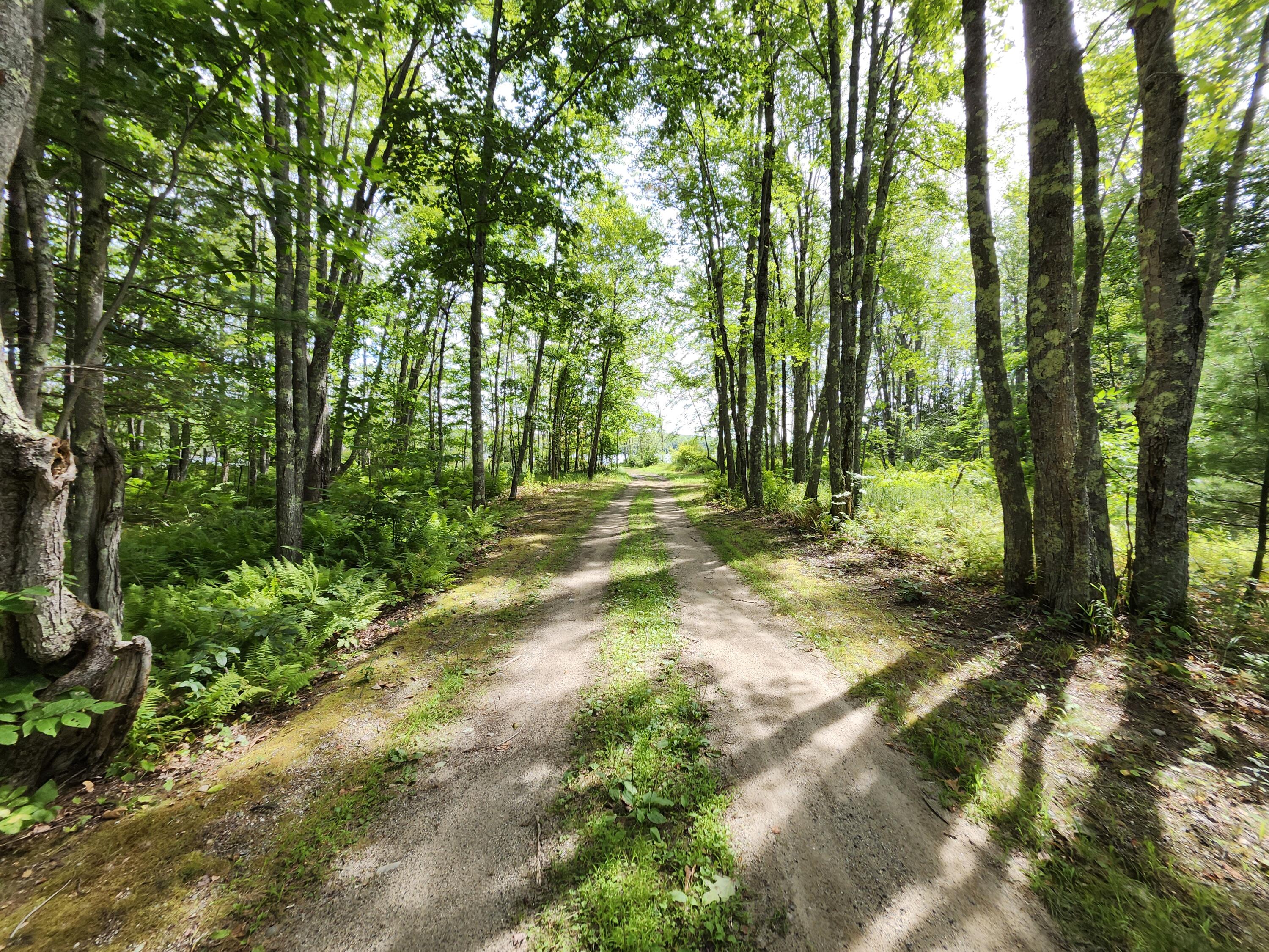 29 Pond Ridge Drive Lewiston, ME 04240 - Photo 51 of 65 Path to shared waterfront