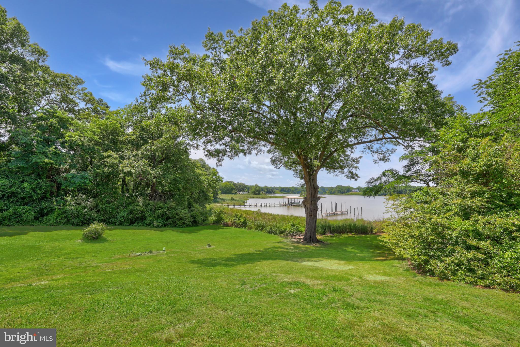 20345 Ridge Road Colonial Beach, VA 22443 - Photo 59 of 80 Backyard views
