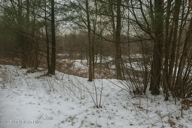 a view of a yard covered in snow