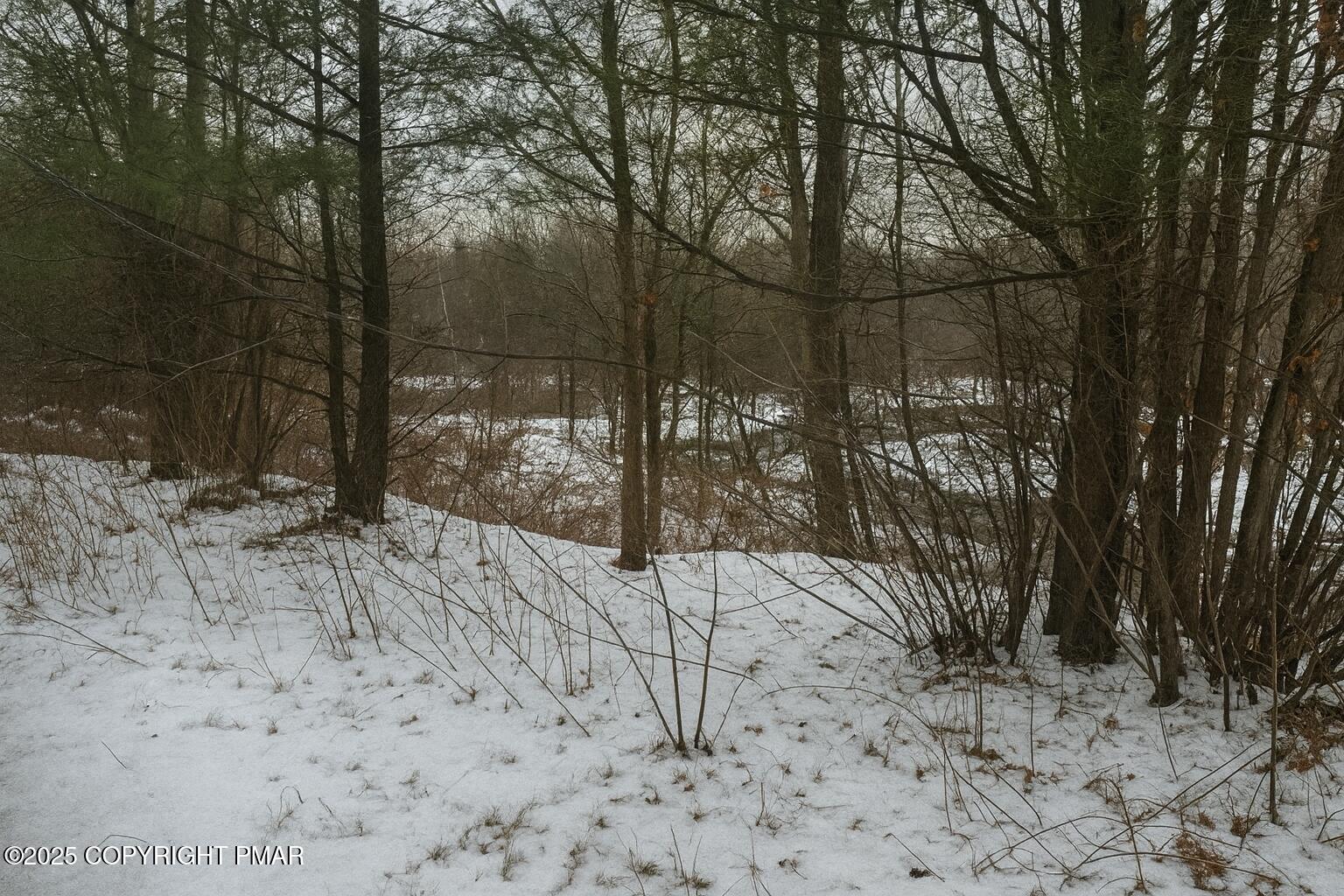 a view of a yard covered in snow