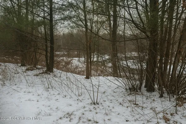 a view of a yard covered in snow