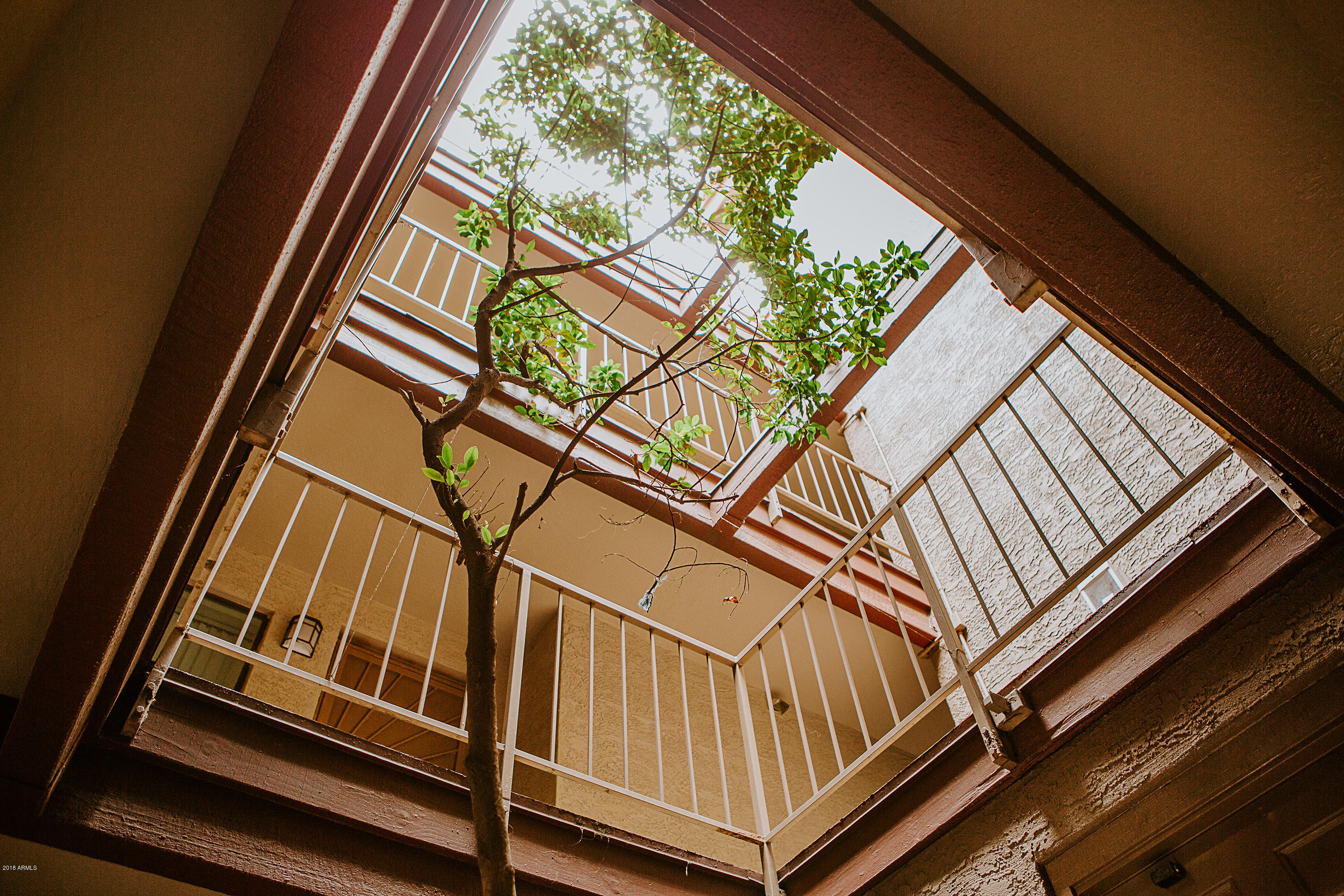 17 East Ruth Avenue, Unit 107 Phoenix, AZ 85020 - Photo 18 of 21 Atrium near unit