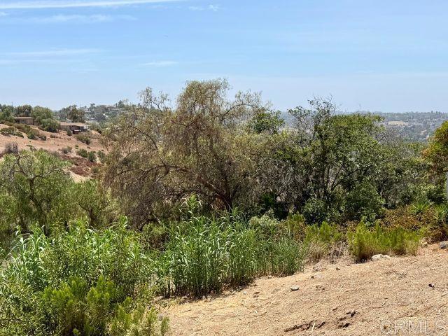 2610 Helix Street Spring Valley, CA 91977 - Photo 21 of 24