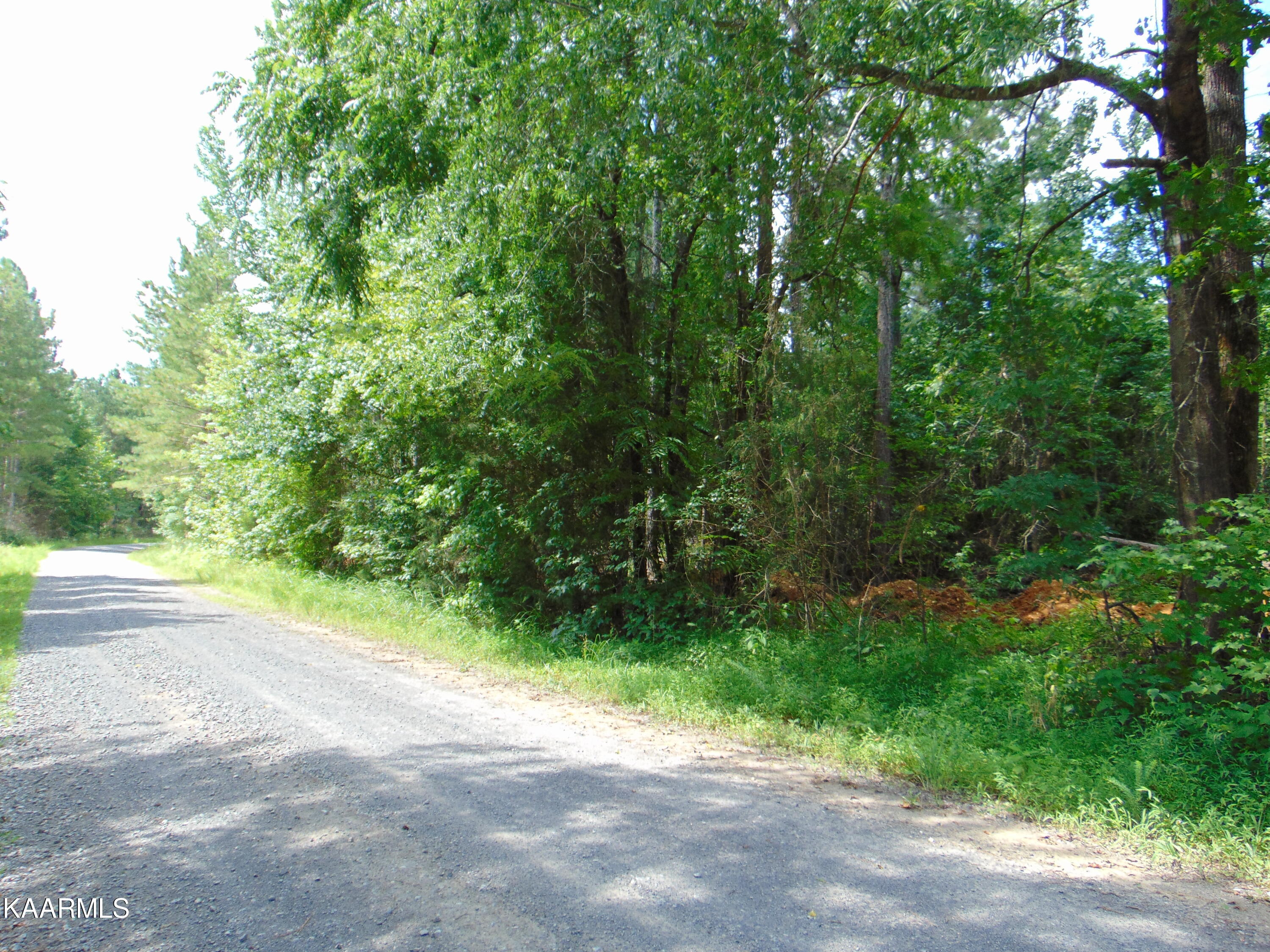 2 D Charles Road Decatur, TN 37322 - Photo 3 of 8 TR 2D Charles 3