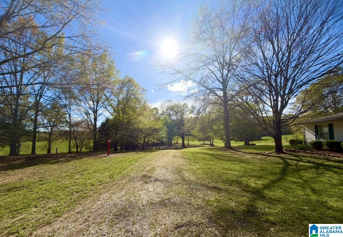 1749 McCollum Church Road Lineville, AL 36266 - Photo 55 of 66