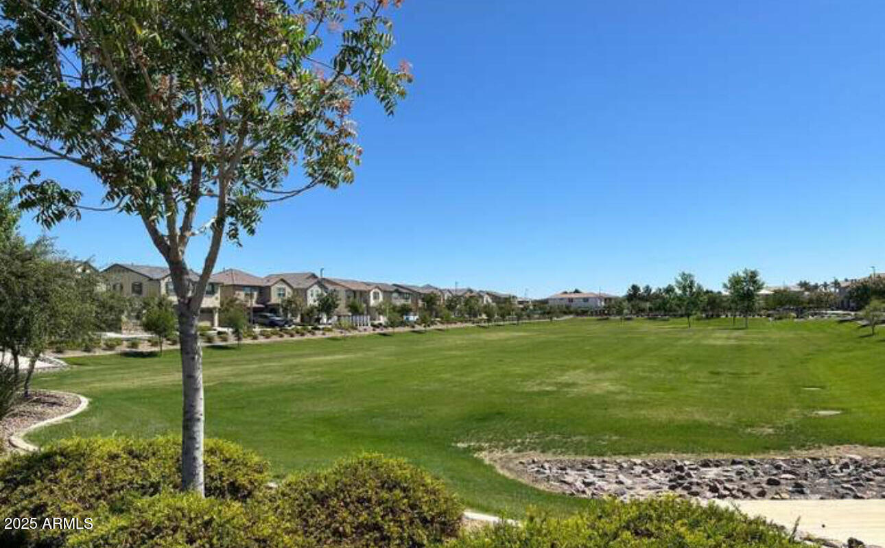 1156 East Weatherby Way Chandler, AZ 85286 - Photo 44 of 47 a view of a grassy field with an trees