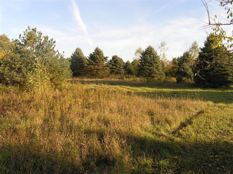 0 Pleasant Lake Road Manchester, MI 48158 - Photo 1 of 7 Photo 1