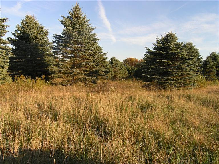 0 Pleasant Lake Road Manchester, MI 48158 - Photo 2 of 7 Photo 2
