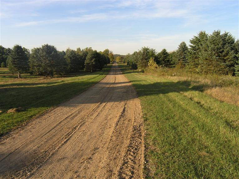 0 Pleasant Lake Road Manchester, MI 48158 - Photo 3 of 7 Photo 3