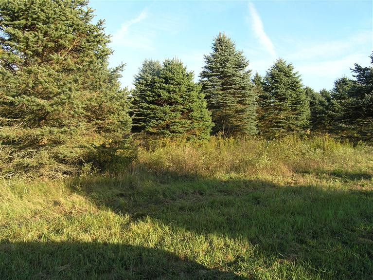 0 Pleasant Lake Road Manchester, MI 48158 - Photo 4 of 7 Photo 4
