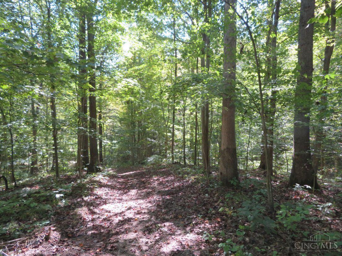 1848 Parker Ridge Road Peebles, OH 45660 - Photo 2 of 8