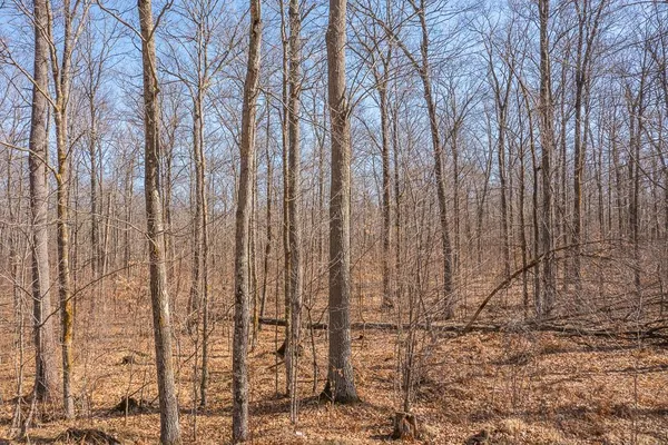 $149,000 | Tbd Tbd 250th Pl Isle, Isle, MN 56342