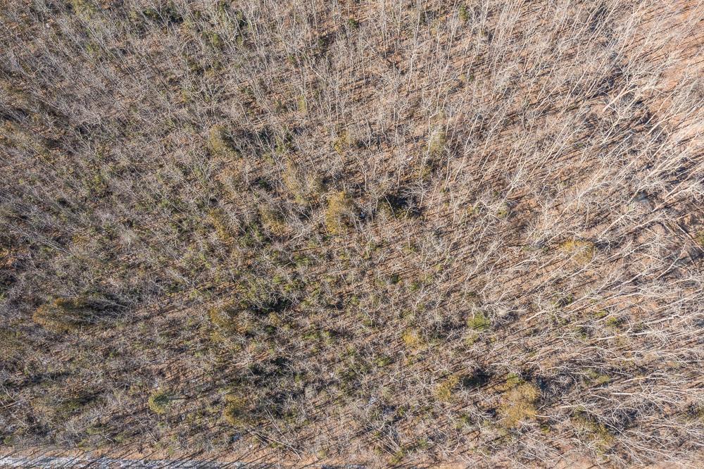 Tbd Tbd 250th Pl Isle Isle, MN 56342 - Photo 11 of 26