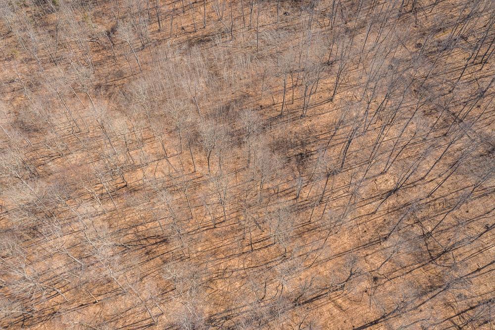 Tbd Tbd 250th Pl Isle Isle, MN 56342 - Photo 19 of 26