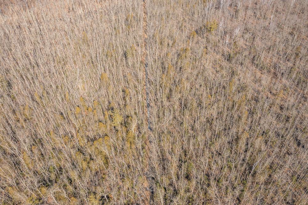 Tbd Tbd 250th Pl Isle Isle, MN 56342 - Photo 22 of 26