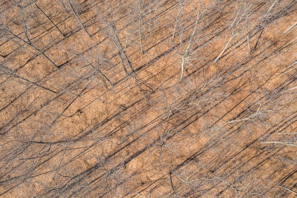 Tbd Tbd 250th Pl Isle Isle, MN 56342 - Photo 25 of 26