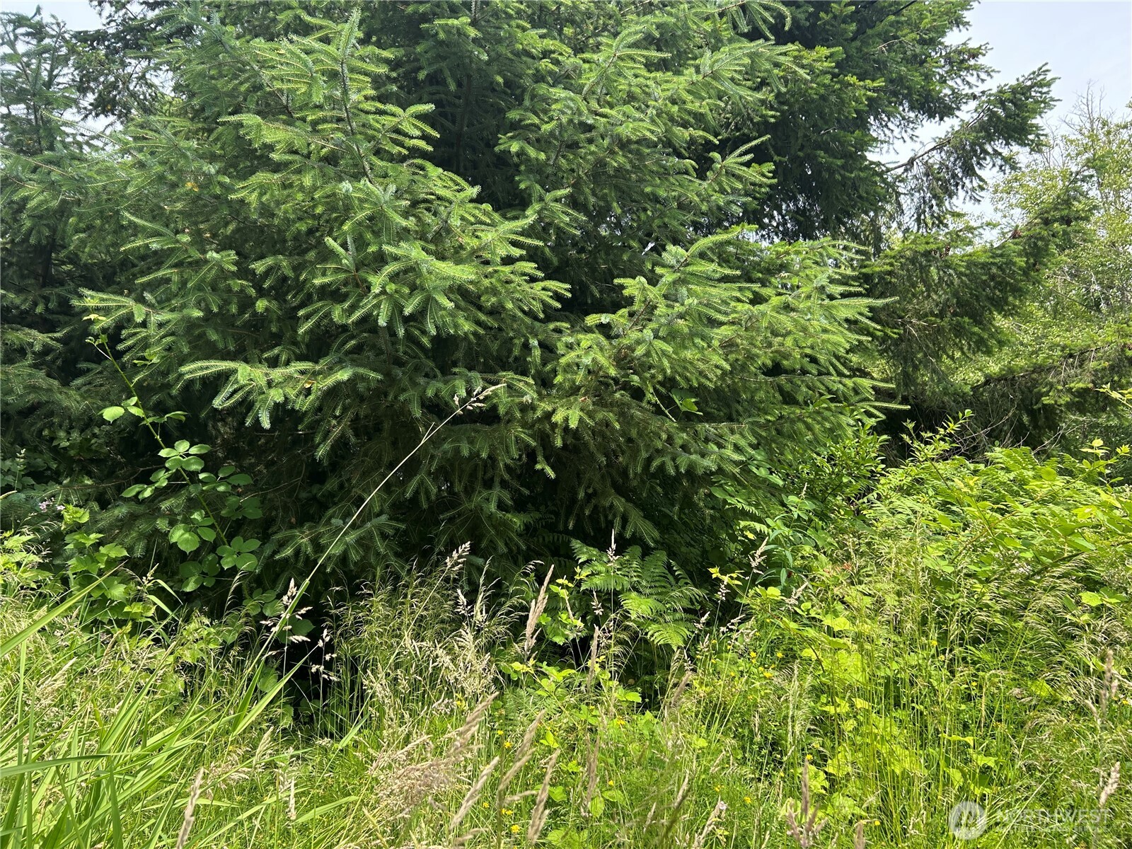 3474 Old Highway 99 North Road Burlington, WA 98233 - Photo 2 of 5