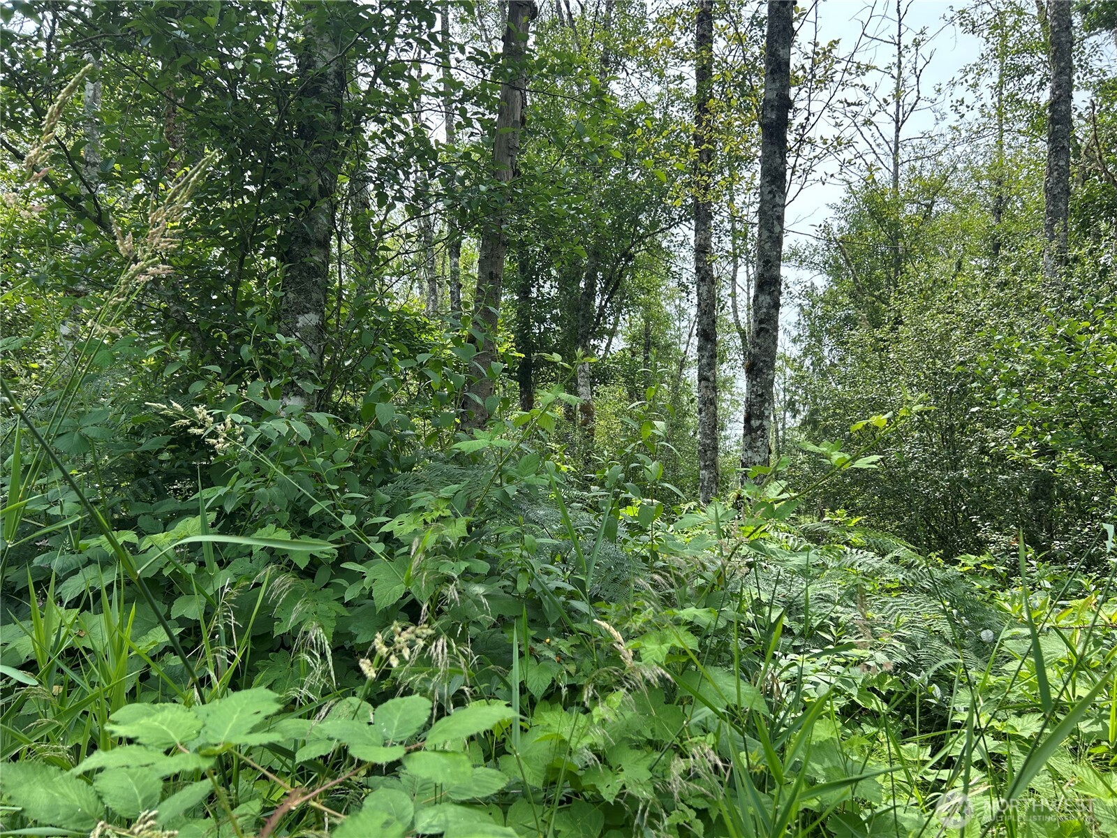 3474 Old Highway 99 North Road Burlington, WA 98233 - Photo 3 of 5